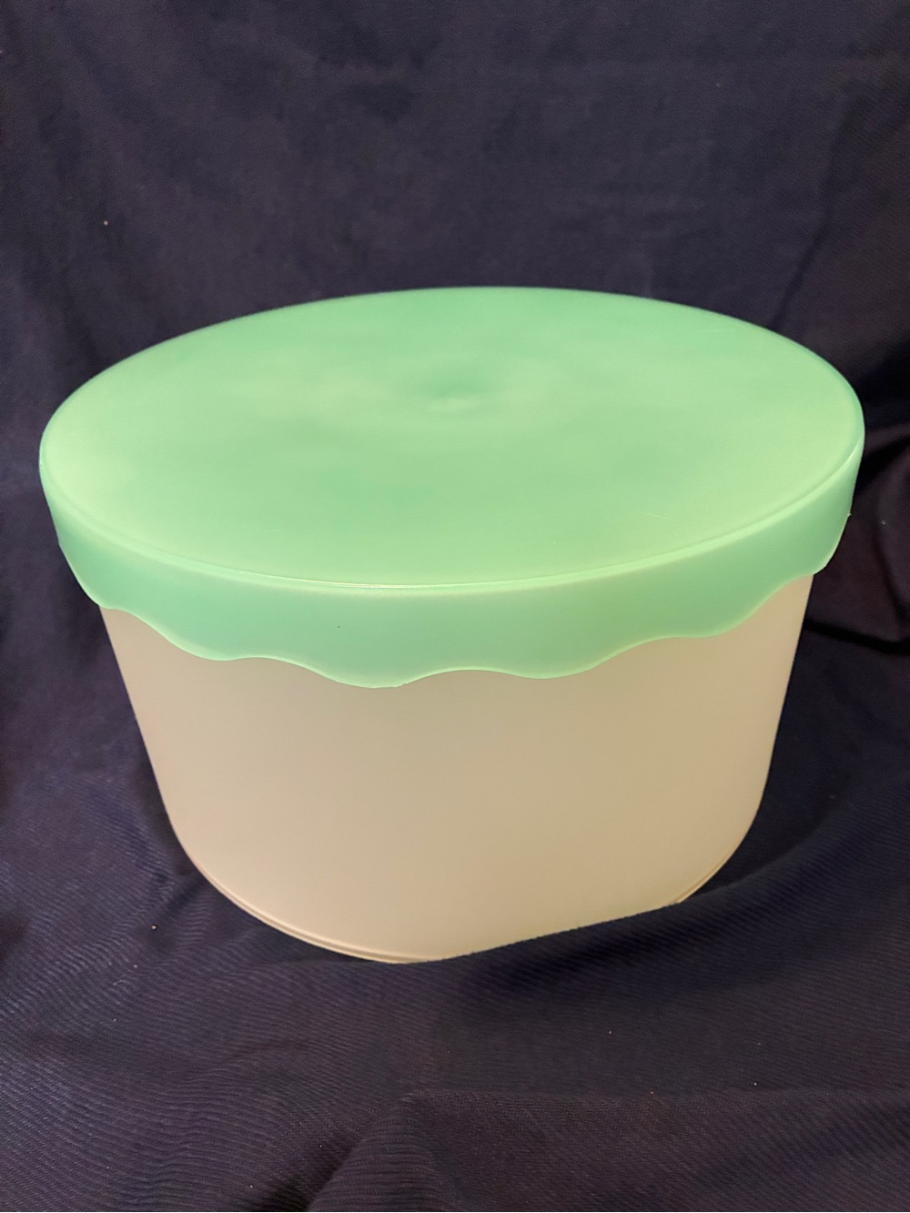 interDesign Green Lidded Storage Container appx 30 cups